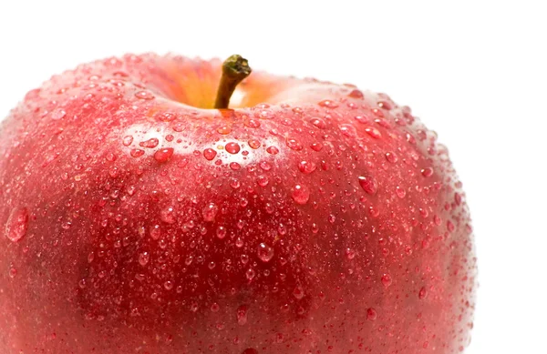 The Ripe red apple. — Stock Photo, Image