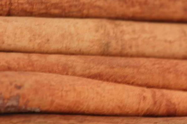 stock image Cinnamon sticks