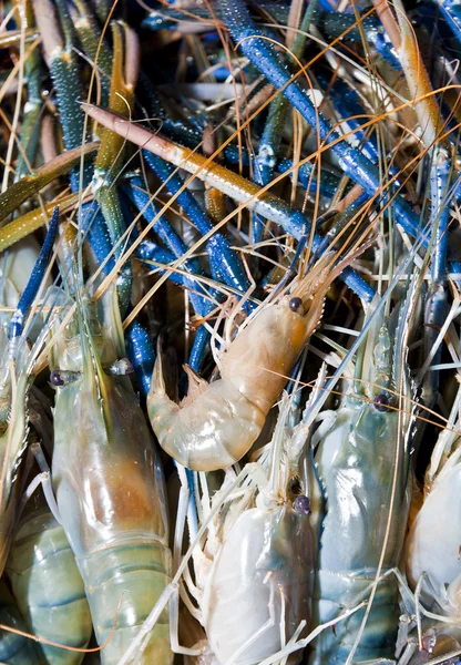 Čerstvé Syrové Krevety — Stock fotografie