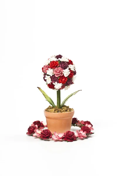 バラの花束を白い背景で隔離の植木鉢 — ストック写真