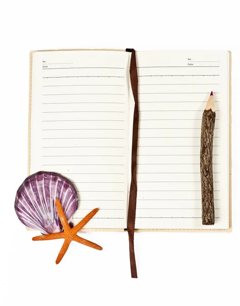 Deniz kabuğu ve renkli kalem ile defter — Stok fotoğraf