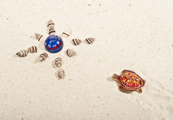 Kaplumbağa pusula bulmak — Stok fotoğraf