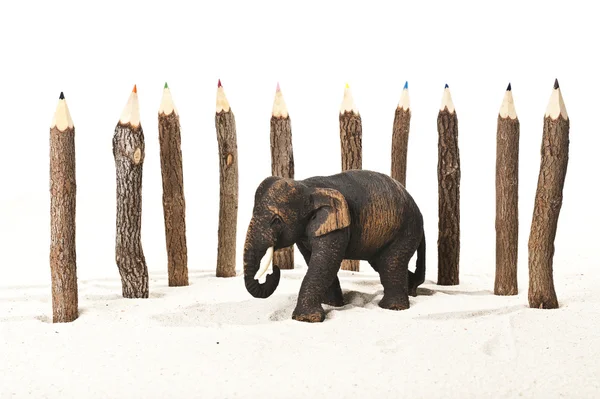 Trä elefant i färgen pencil staketet — ストック写真