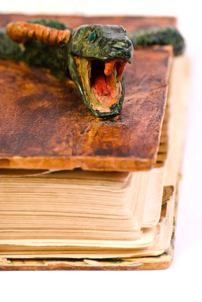 Eski yılan şeklinde kitapla cower — Stok fotoğraf