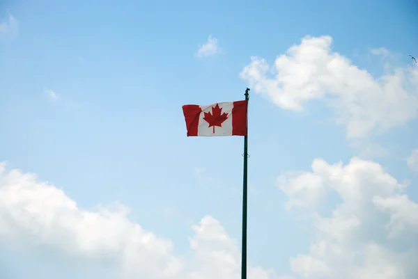Bandera canadiense ondeando — Foto de Stock