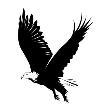 Illustration of bald eagle clipart