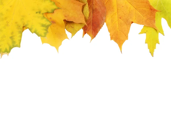 Jesienne liście ramki — Zdjęcie stockowe