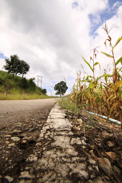 Camino seco y dañado — Foto de Stock