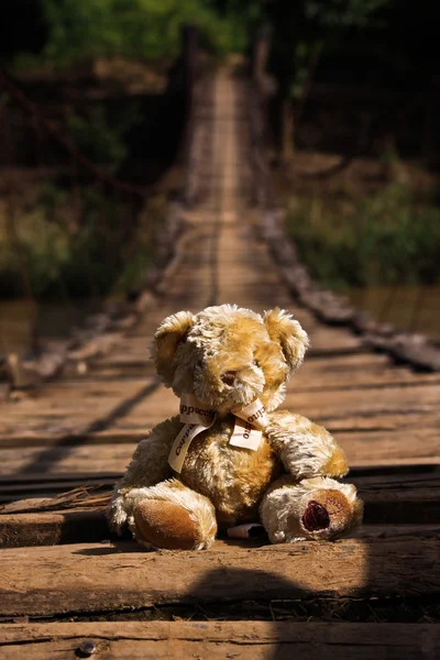 Teddy bear and bridge — Stock Photo, Image
