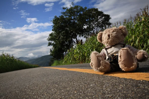 Carretera y oso 2 — Foto de Stock