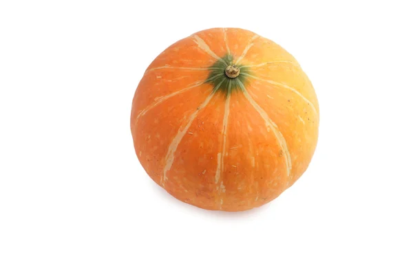 Pumpkin isolated on white background — Stock Photo, Image