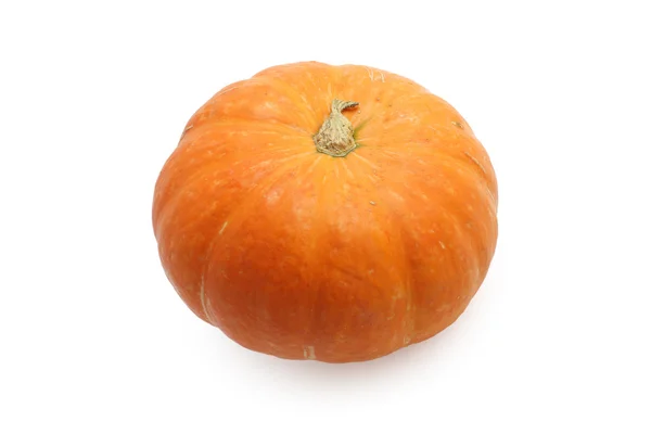 Pumpkin isolated on white background — Stock Photo, Image