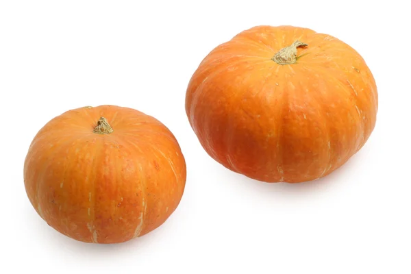 Two pumpkins isolated on white background — Stock Photo, Image