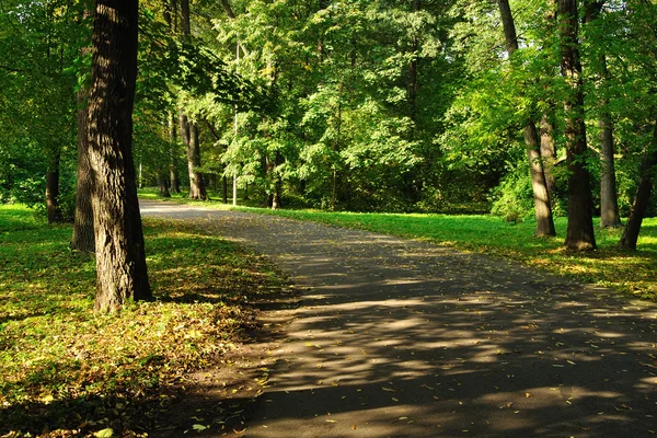 stock image Park