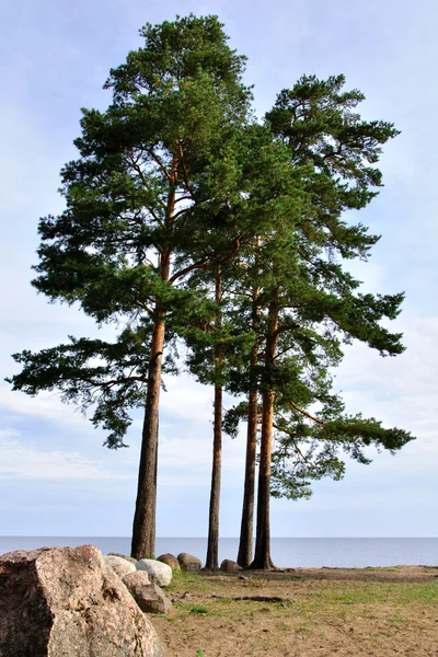 Lake Ladoga — Stock Photo, Image