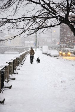 yoğun kar yağışı, st. petersburg, bir adam köpeğiyle yürüyor.