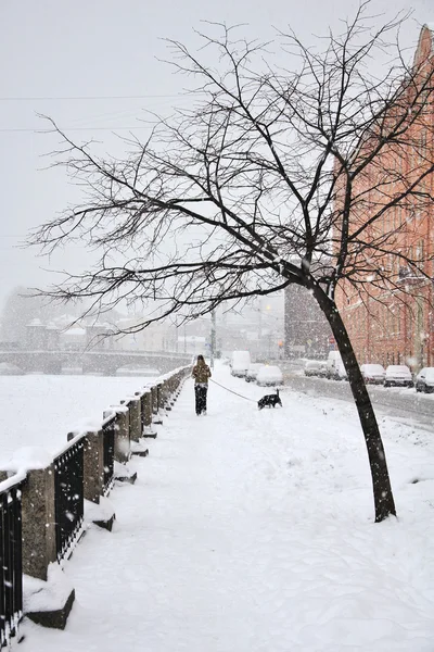 Сильный снегопад в Санкт-Петербурге, одинокий человек, гуляющий с собакой — стоковое фото