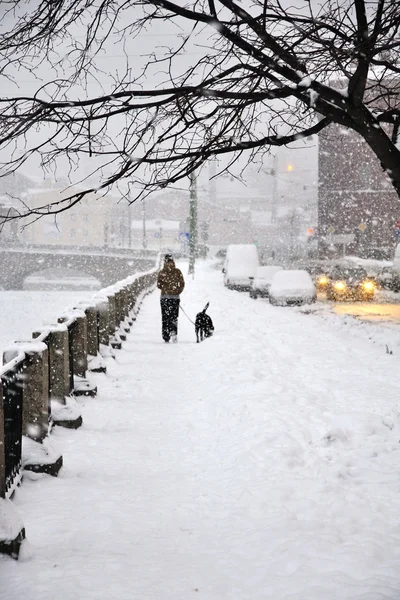 Сильный снегопад в Санкт-Петербурге, человек выгуливает собаку — стоковое фото