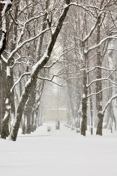 St michael's park, de sneeuw bedekte lane, sneeuw — Stockfoto