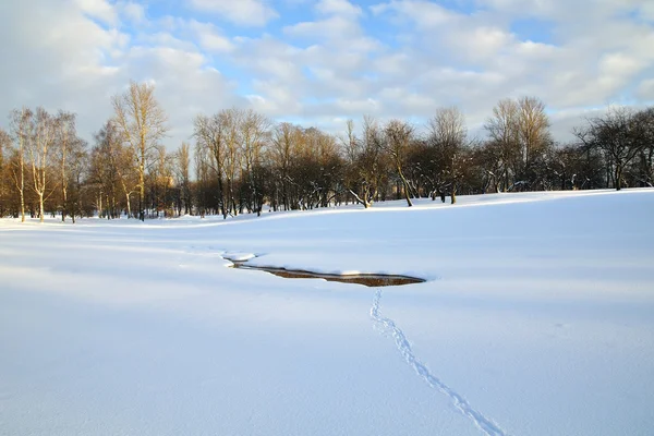氷の雪の吹きだまり、冬の公園で春 — ストック写真