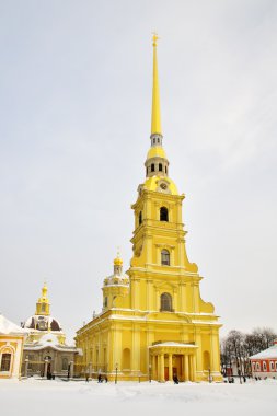 Peter ve paul Katedrali, kış, kar sürüklenir, st petersburg