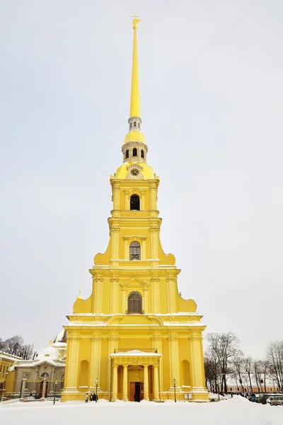 Catedral de Pedro y Pablo, invierno, nieve deriva, San Petersburgo — Foto de Stock