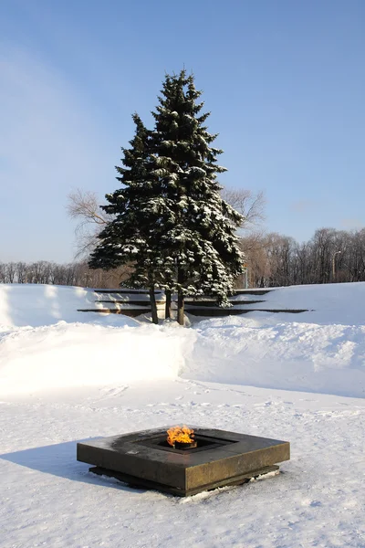 stock image Eternal Flame in the Campus Martius, winter. St. Petersburg. Russia