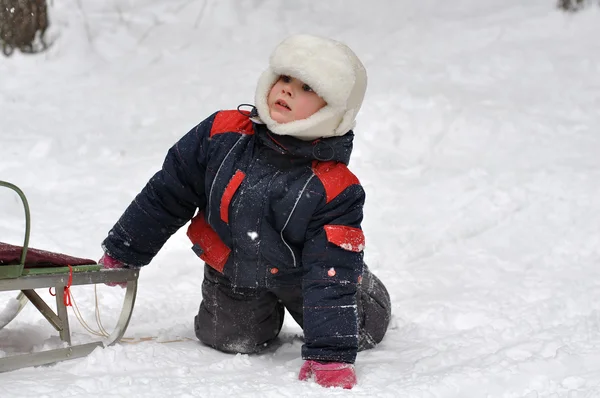 A little boy rides a sled from a hill — Stock Photo, Image