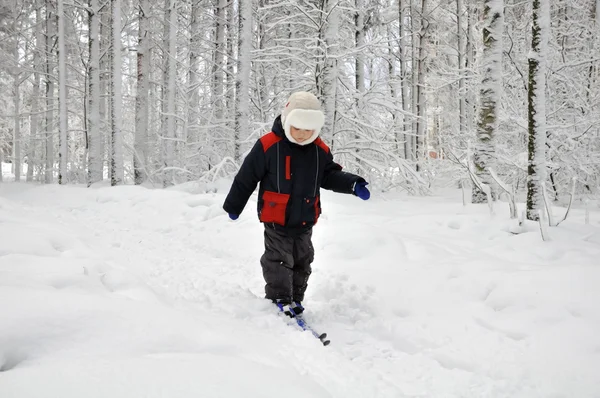 The little boy skiing in the park in winter — Stock Photo, Image