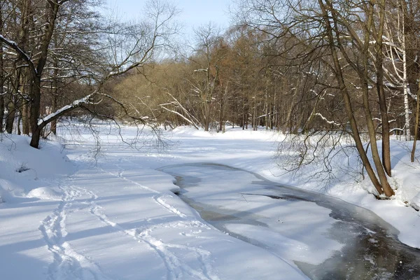 Χειμώνα στο πάρκο. παγωμένη λίμνη. — Φωτογραφία Αρχείου