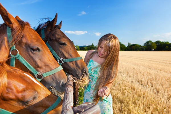 말과 여름에 목장에 금발 여자 — 스톡 사진