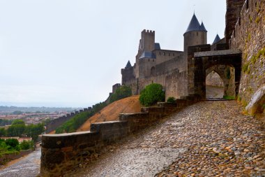 Castle of Carcassonne - south of France clipart