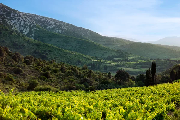 Bergslandskap i sydöstra Frankrike — Stockfoto