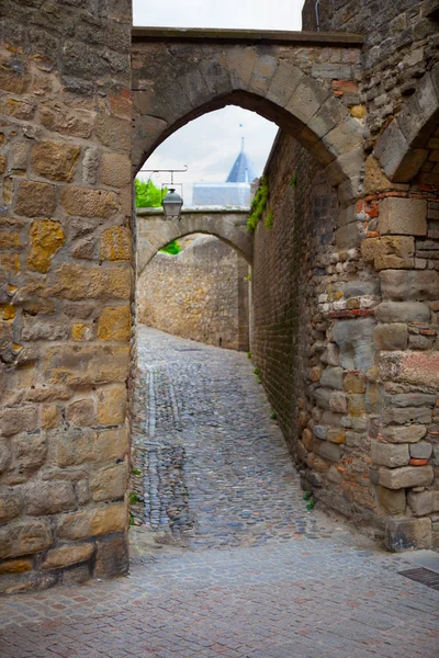 stock image Castle of Carcassonne - south of France