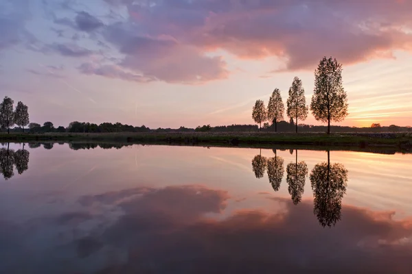 stock image Leafless tree near lake on sunset