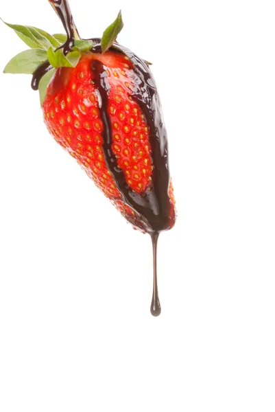 Strawberry with chocolate sauce on it. — Stock Photo, Image