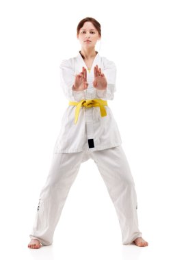 karate poz genç seksi kadın