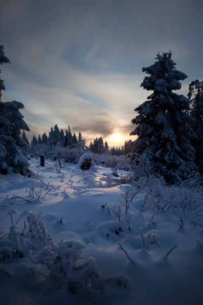 山区冬季森林 — 图库照片