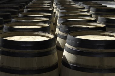 Rows of new barrels for stocking wine clipart