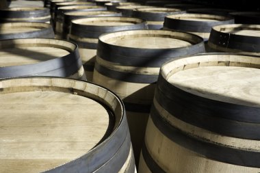 Rows of new barrels for stocking wine clipart