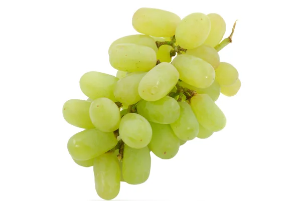 stock image Bunch of grape