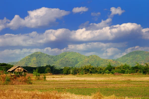 stock image Hut on the green field