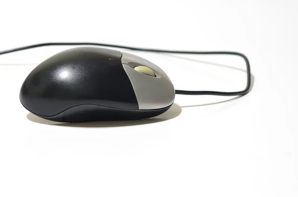 Stock image Computer mouse isolated on a white background