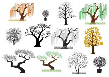 Vector trees4 clipart