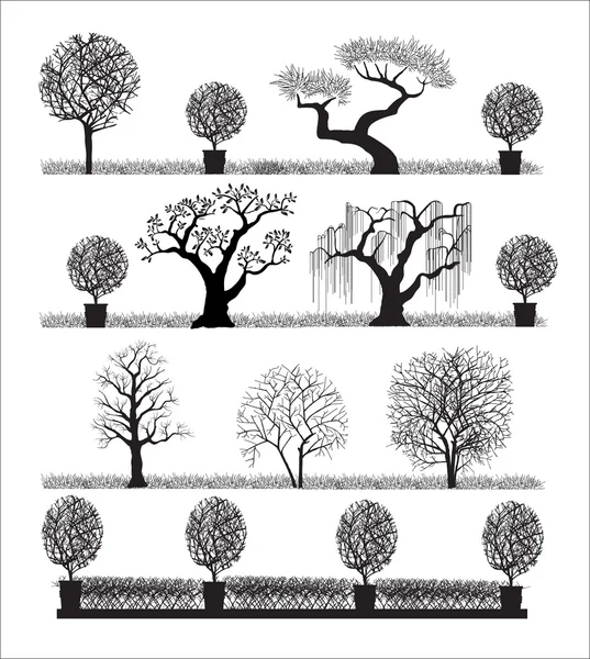 Silueta de árboles — Vector de stock