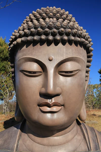 Une Statue Tête Bouddhas Ushiku — Photo