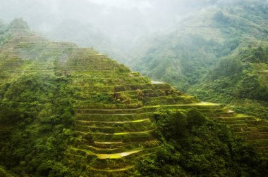 Banaue Pirinç Teras