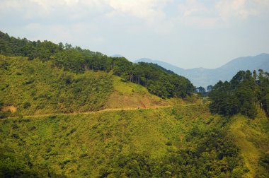 Dağ yolu