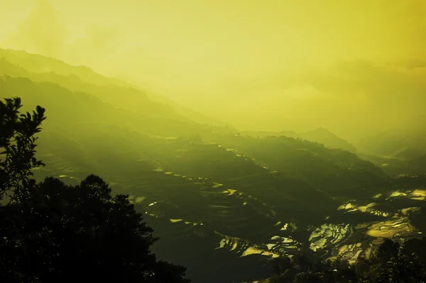 stock image Banaue