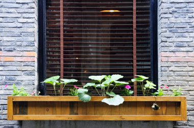 Wooden flower box in window clipart